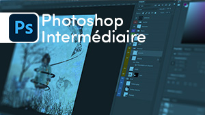 Photoshop - Intermédiaire